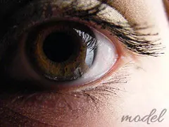 Brow Lift in Cleveland, OH